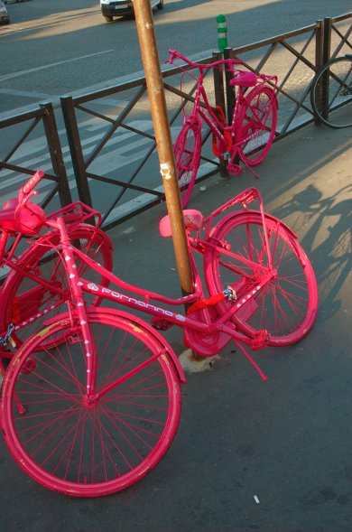 dsc10632.jpg Eléphant rose déguisé en vélo